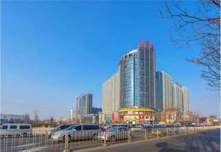 瑞士火爆益生菌