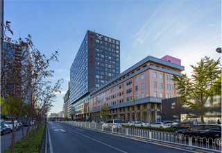 广州再生海绵粘合剂哪家